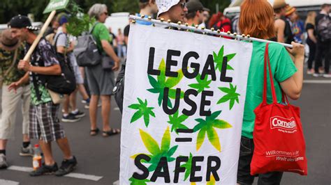 leafyleaks|LeafyLeaks on LinkedIn: Germany Marijuana Legalization Law。